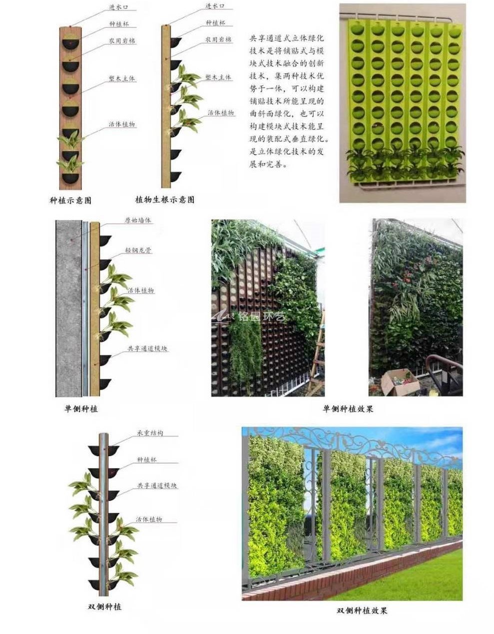 塑木通道式+岩棉植物墙容器先容1_1.jpg