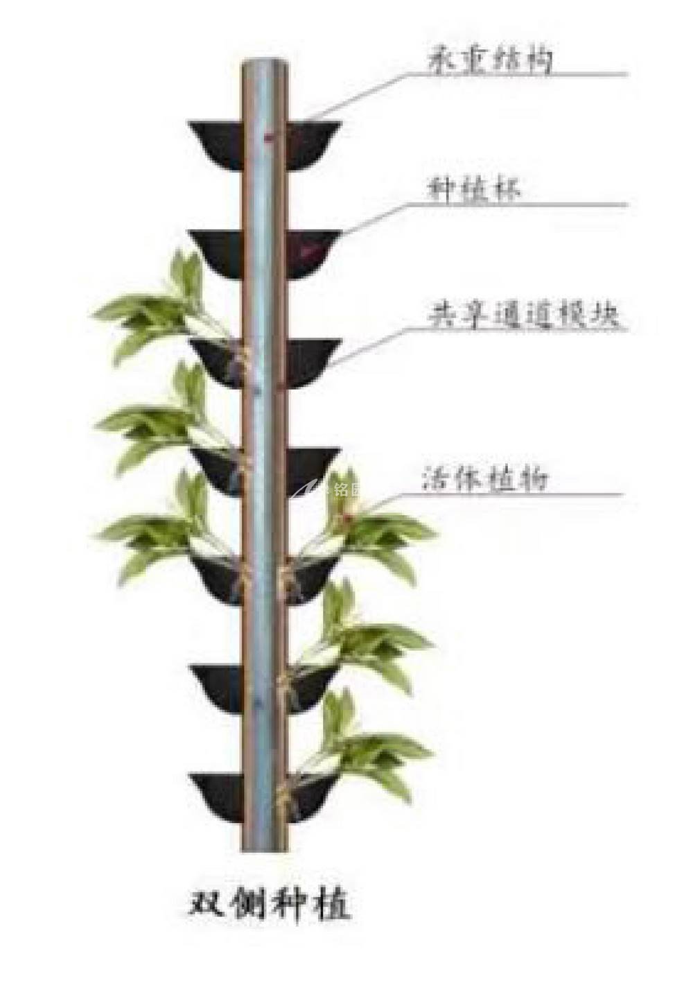 塑木通道式+岩棉植物墙容器先容1_3.jpg