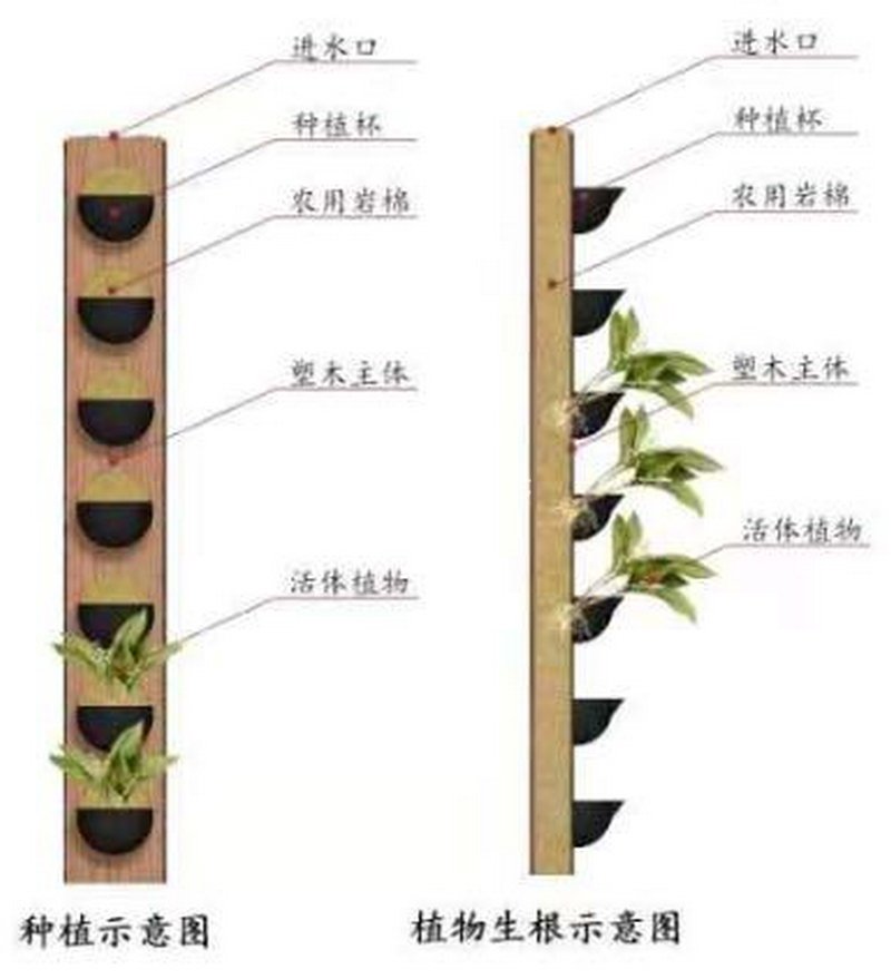 植物墙塑木岩棉共享通道