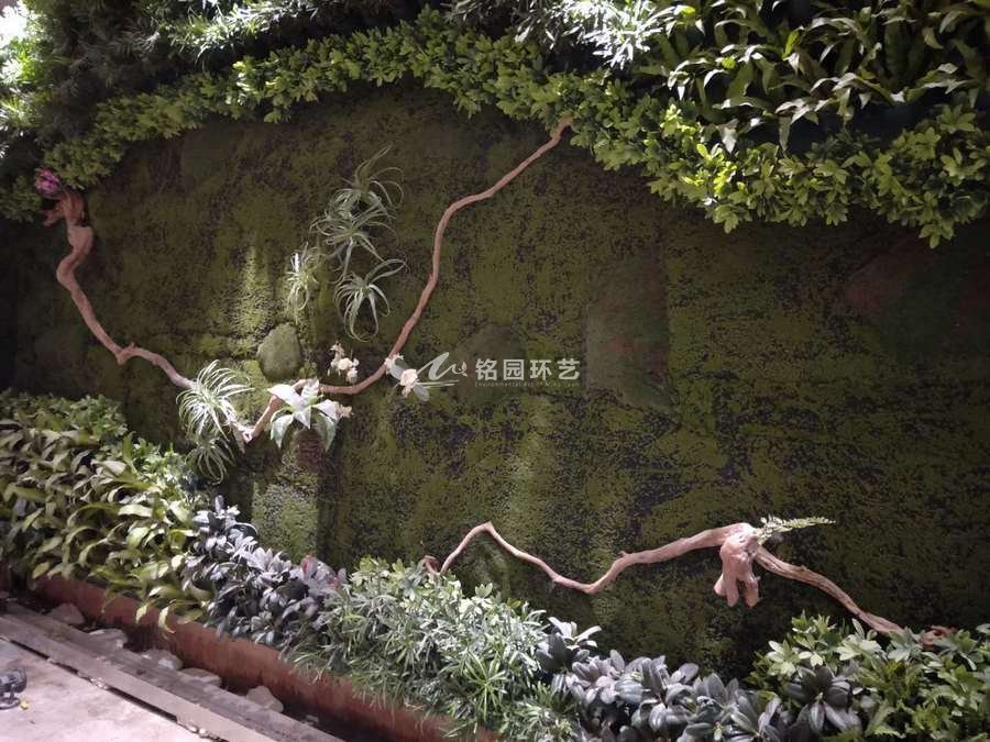 烤鸭店植物墙