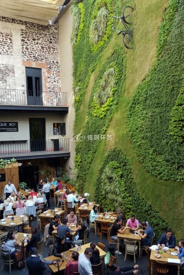 餐厅室内植物墙