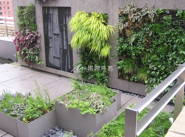 墙体植物墙