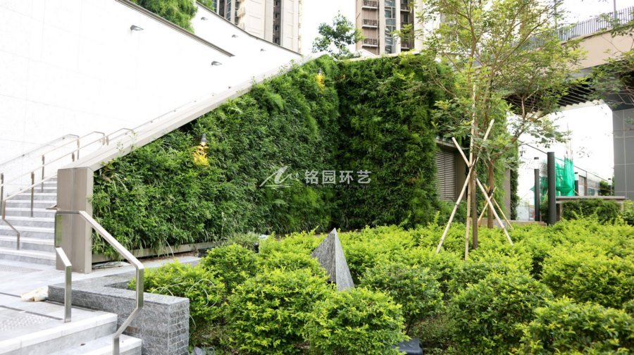 小区植物墙景观