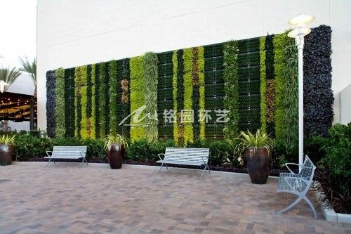 户外修建物植物墙