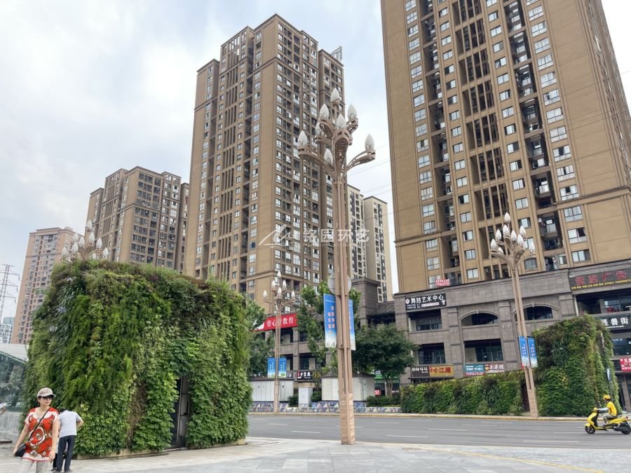 广场植物墙，重庆盘龙中央广场小型修建笔直绿化景观